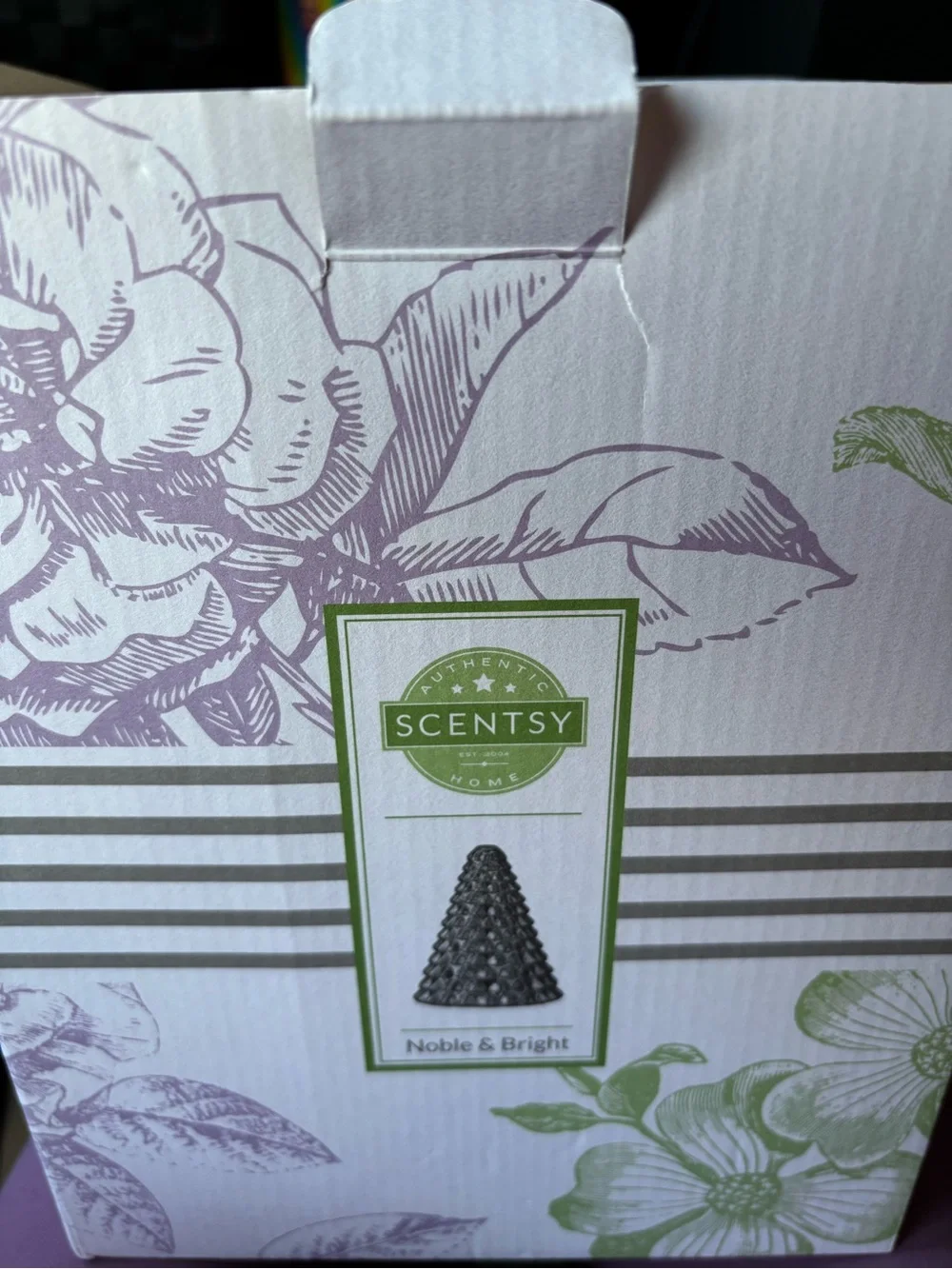 Scentsy Noble and Bright Diffuser Shade